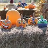 Snyder's Farm Fall Festival photo