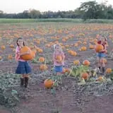 Snyder's Farm Fall Festival photo