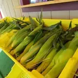 Snyder's Farm Fall Festival photo