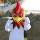 Snyder's Farm Fall Festival photo