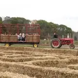 Snyder's Farm Fall Festival photo
