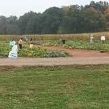 Snyder's Farm Fall Festival photo