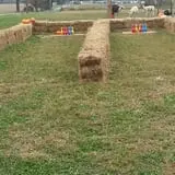 Snyder's Farm Fall Festival photo