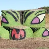 Snyder's Farm Fall Festival photo