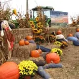 Snyder's Farm Fall Festival photo