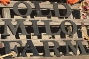 Old Milo Tree Farms & Pumpkin Patch Logo