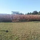 Sally Gap Pumpkin Patch photo