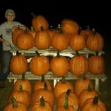 Sally Gap Pumpkin Patch photo