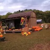 Sally Gap Pumpkin Patch photo