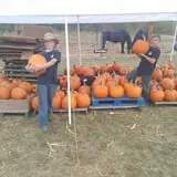 Sally Gap Pumpkin Patch photo