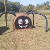 Sally Gap Pumpkin Patch photo
