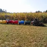 Sally Gap Pumpkin Patch photo