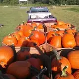 Sally Gap Pumpkin Patch photo