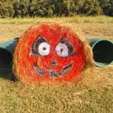 Sally Gap Pumpkin Patch photo