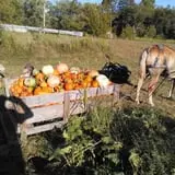 Sally Gap Pumpkin Patch photo