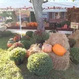 Sally Gap Pumpkin Patch photo