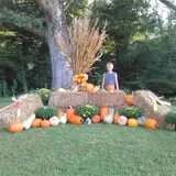 Sally Gap Pumpkin Patch photo