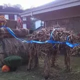 Sally Gap Pumpkin Patch photo