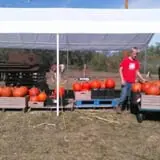 Sally Gap Pumpkin Patch photo