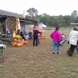 Sally Gap Pumpkin Patch photo