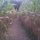 Sally Gap Pumpkin Patch photo