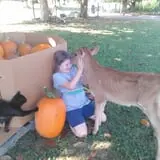 Sally Gap Pumpkin Patch photo