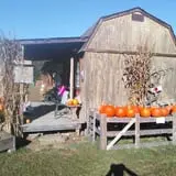 Sally Gap Pumpkin Patch photo