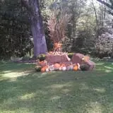 Sally Gap Pumpkin Patch photo