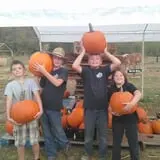 Sally Gap Pumpkin Patch photo