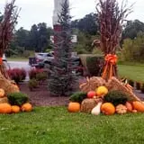 Sally Gap Pumpkin Patch photo