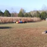 Sally Gap Pumpkin Patch photo
