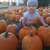 Eugster's Farm Market Fall Festival photo