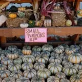 Eugster's Farm Market Fall Festival photo