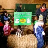 Eugster's Farm Market Fall Festival photo