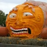 Eugster's Farm Market Fall Festival photo
