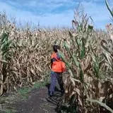 Eugster's Farm Market Fall Festival photo