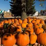 Eugster's Farm Market Fall Festival photo
