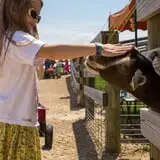 Eugster's Farm Market Fall Festival photo