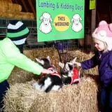 Eugster's Farm Market Fall Festival photo