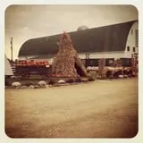Eugster's Farm Market Fall Festival photo