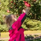 Eugster's Farm Market Fall Festival photo