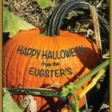 Eugster's Farm Market Fall Festival photo