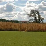 Eugster's Farm Market Fall Festival photo