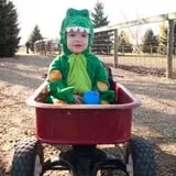 Eugster's Farm Market Fall Festival photo