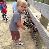Eugster's Farm Market Fall Festival photo