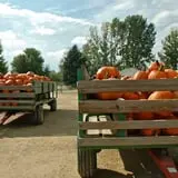 Eugster's Farm Market Fall Festival photo
