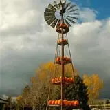 Eugster's Farm Market Fall Festival photo