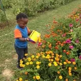 Eugster's Farm Market Fall Festival photo
