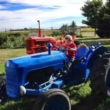 Eugster's Farm Market Fall Festival photo