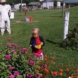 Eugster's Farm Market Fall Festival photo